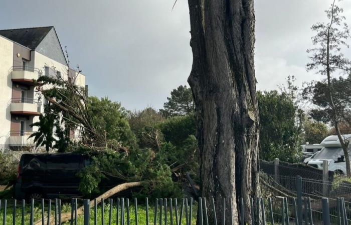 Storm Caetano: gusts of more than 100 km/h recorded in Loire-Atlantique and Vendée