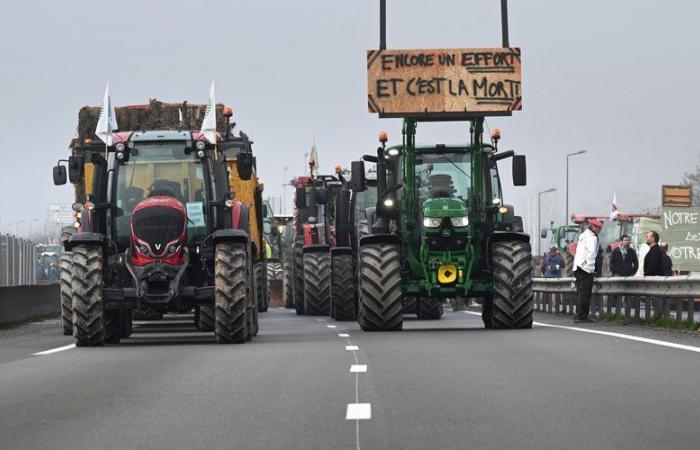 Anger of farmers: demonstrations, filtering… What farmers are planning in western Toulouse