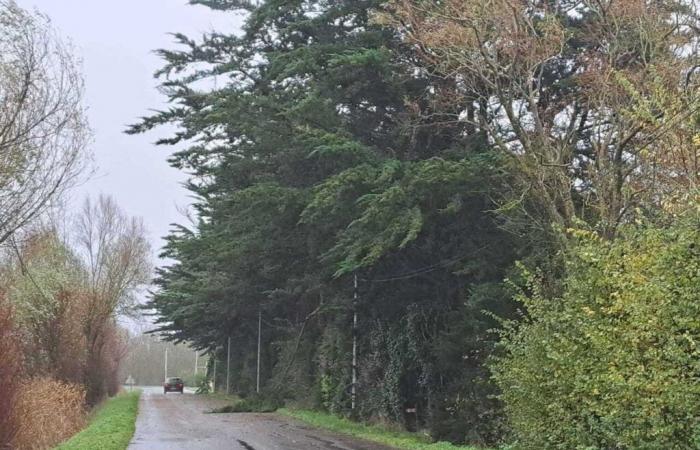 the results of the Caetano storm at midday in Vendée