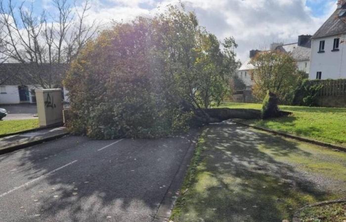 Sunken boat and uprooted trees… Storm Caetano causes some damage in Concarneau