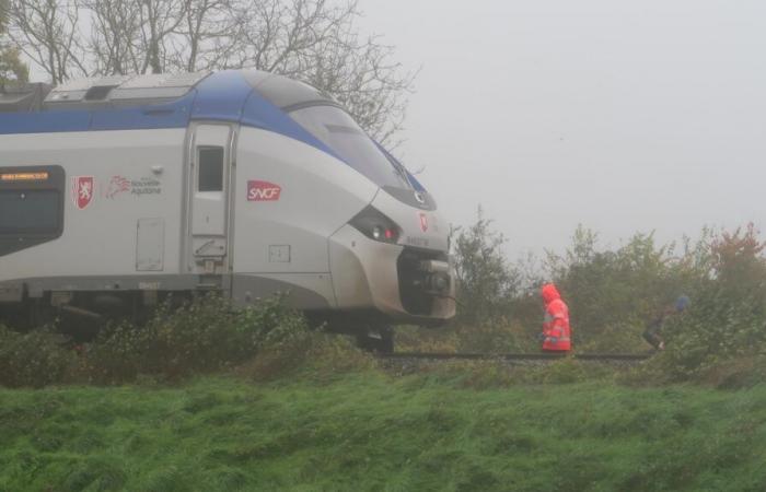 a person hit and killed by the TER Poitiers-Niort