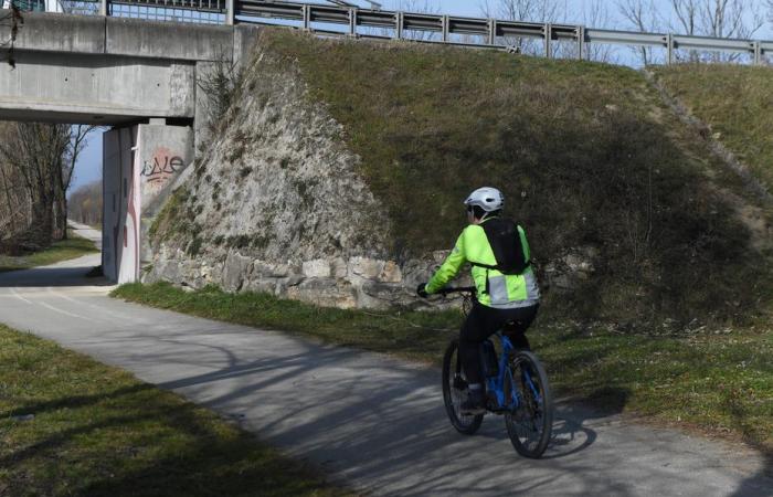 why so much malevolence towards bicycle users?