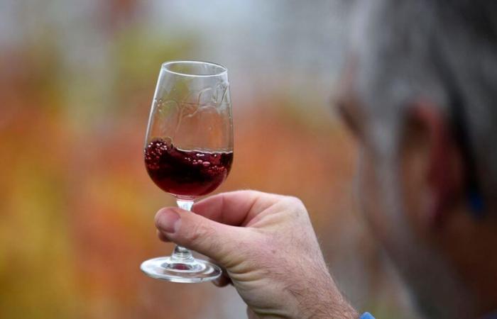 Beaujolais Nouveau 2024 arrives this Thursday: why does this wine maintain a bad reputation among connoisseurs?