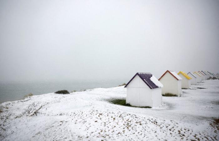 France under a light white coat