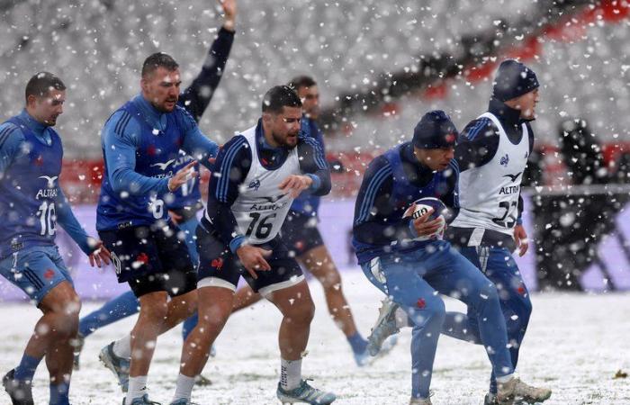 France – Argentina: no time to stall… How the Blues prepared for their match a week after the victory against the Blacks