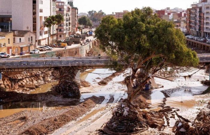 After Valencia, how to adapt Mediterranean cities to flooding