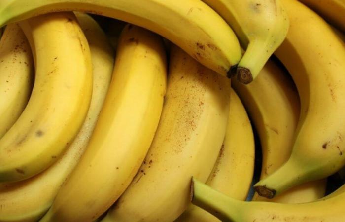 Sustainable banana at a fair price: distributors face their responsibilities