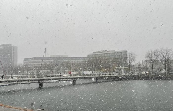 Weather report. Orange alert in Seine-Maritime: snow is finally arriving in Le Havre