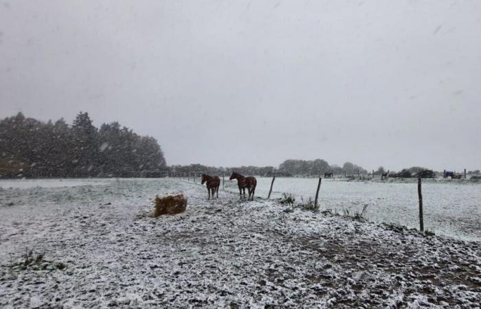 SNOW – Roads closed, traffic restrictions, transport: live update in Eure and Seine-Maritime