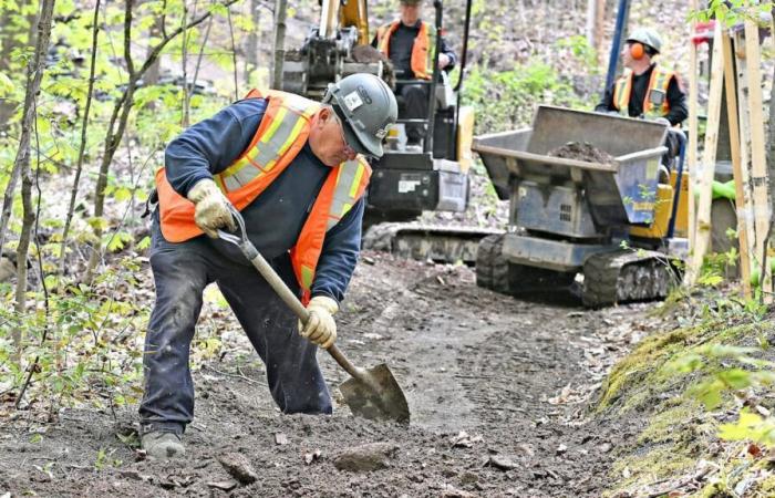 The dismantling of the Marmota mountain bike trails cost nearly $120,000