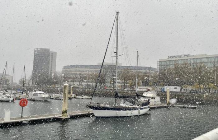 Weather report. Orange alert in Seine-Maritime: snow is finally arriving in Le Havre