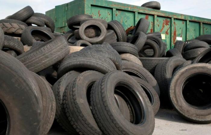 24 TONS OF USED TIRES ILLEGALLY DESTINED FOR SENEGAL SEIZED IN LIVORNO, ITALY