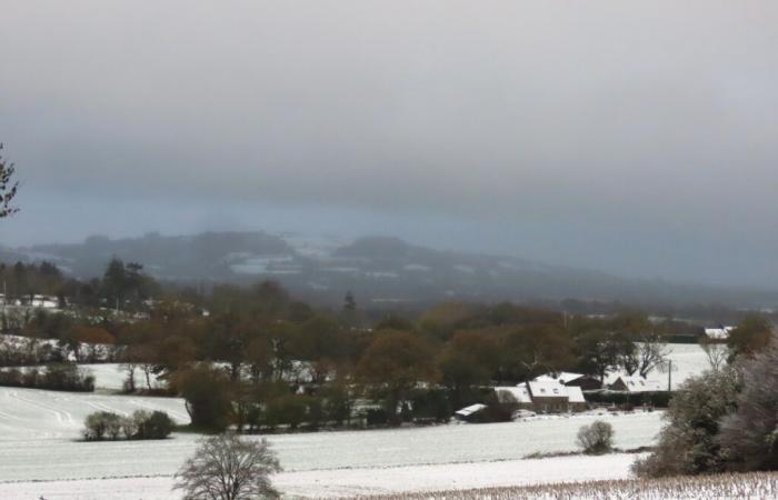 IN PICTURES. In Côtes-d'Armor, several centimeters of snow covered the countryside