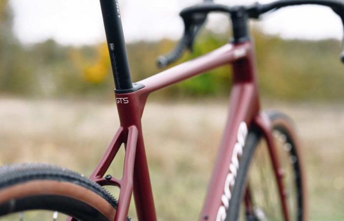 a new range of cheaper carbon bikes, inaugurated by the Axxome road and the Graxx gravel