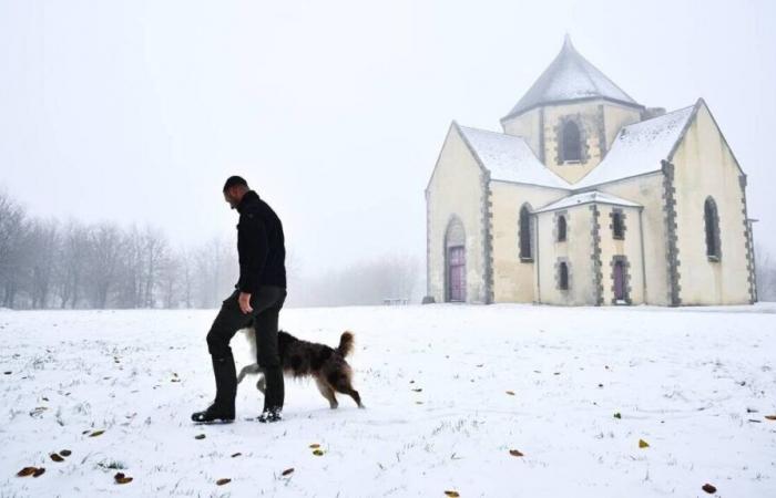 IN PICTURES. Discover our 10 photos of Côtes-d’Armor under the snow this Thursday morning