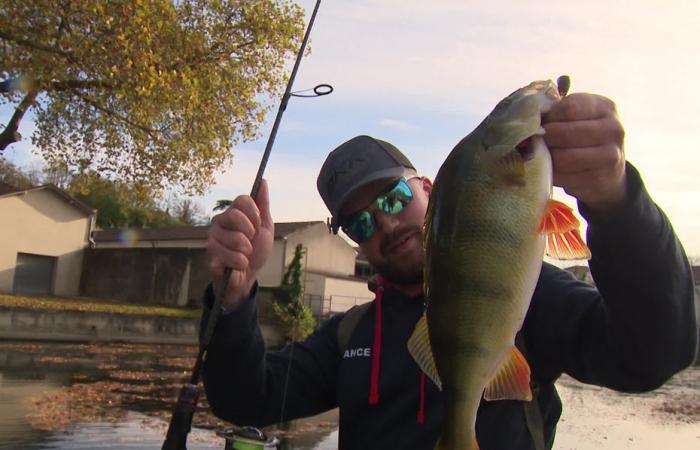 They practice “street fishing” or urban fishing and have become world team champions