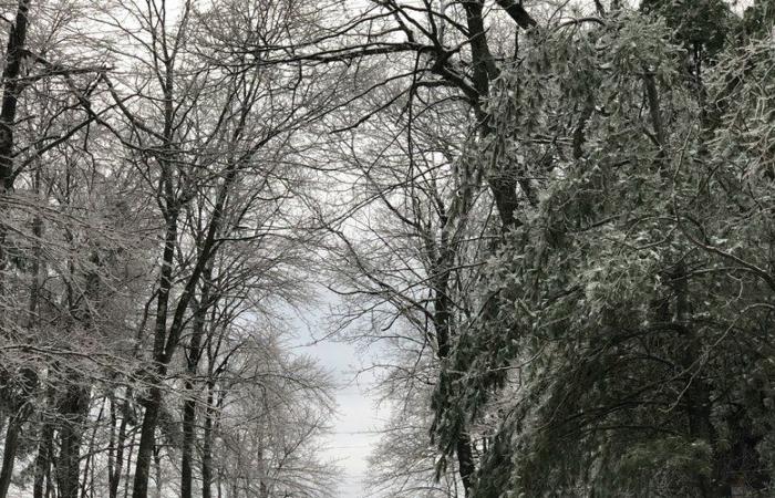 The Caetano storm has arrived in France: 54 departments on orange alert for snow, ice and wind, an update on the forecasts