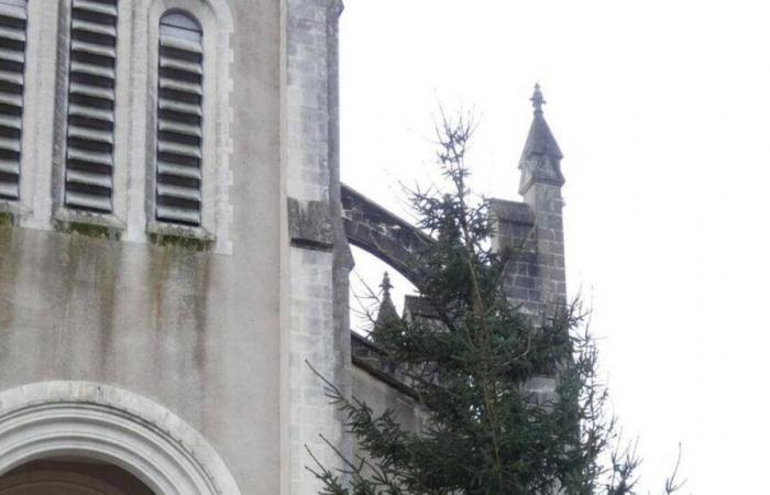 the Christmas tree in this town in Loire-Atlantique is the subject of debate