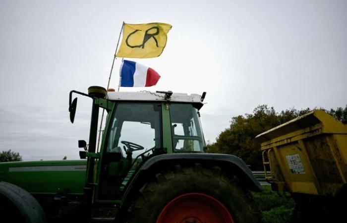 unblocking of the port of Bordeaux announced on Friday; purchasing centers still blocked in Charente, Lot-et-Garonne, Landes and Tarn