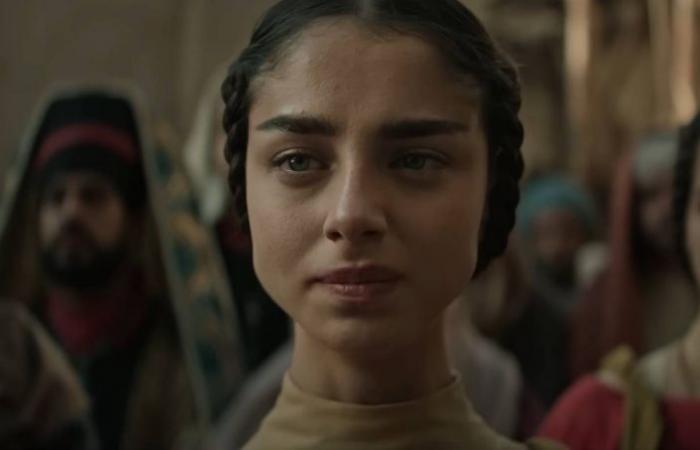 Netflix film about the Virgin Mary divides due to Israeli actors