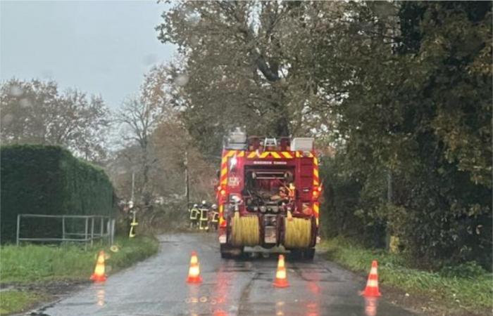 Blocked roads, power cuts… The consequences of the Caetano storm in South Gironde