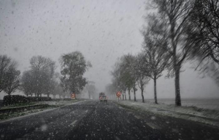 images of the first snowflakes in France