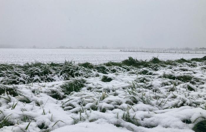 3 questions for Nicolas Buffard, Météo-France expert