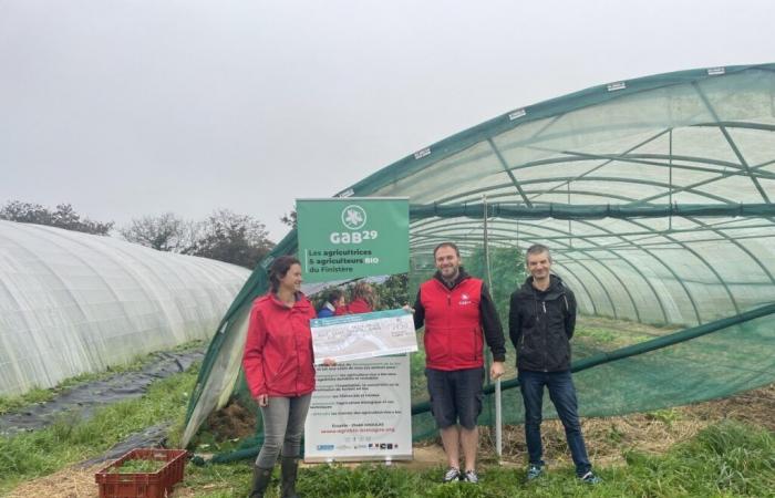 One year after storm Ciaran, “nothing has changed”, denounces the GAB of Finistère