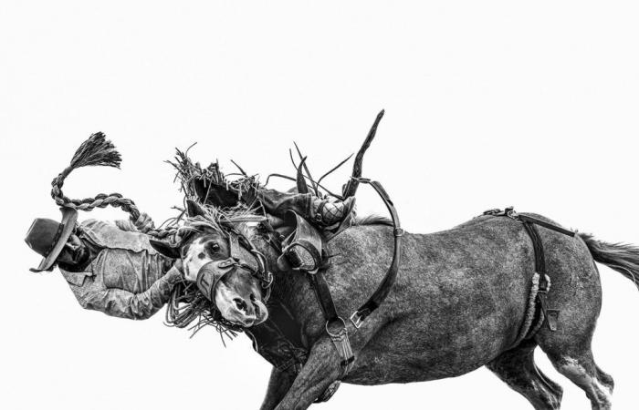 The Images Publishing Group : Anouk Krantz : Frontier : Cowboys of the Americas