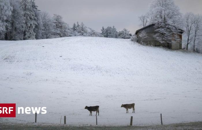 Onset of winter in Switzerland – Where will it snow today? -News