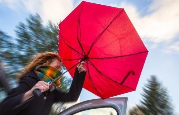 several vigilances in the Cantal department