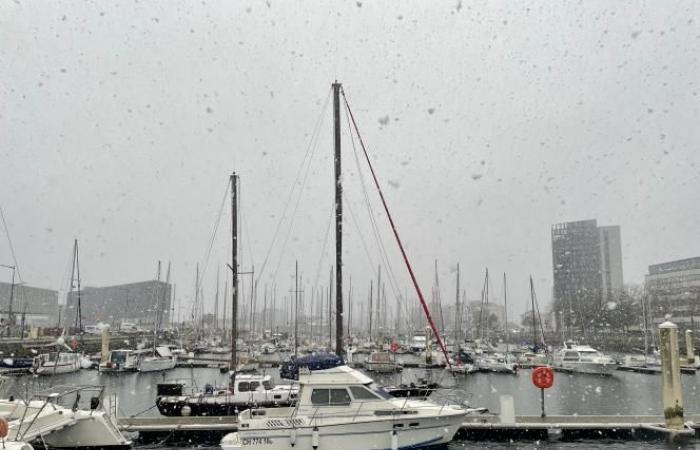 Weather report. Orange alert in Seine-Maritime: snow is finally arriving in Le Havre