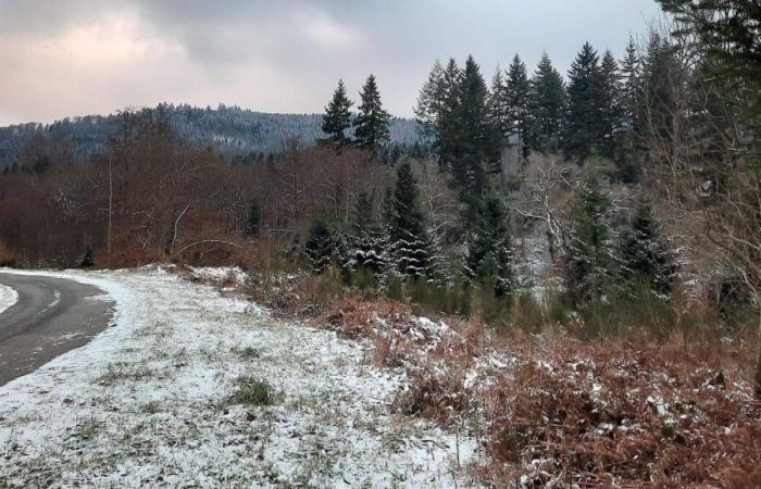 Storm Caetano: the Creuse wakes up under a thin film of snow this Friday morning