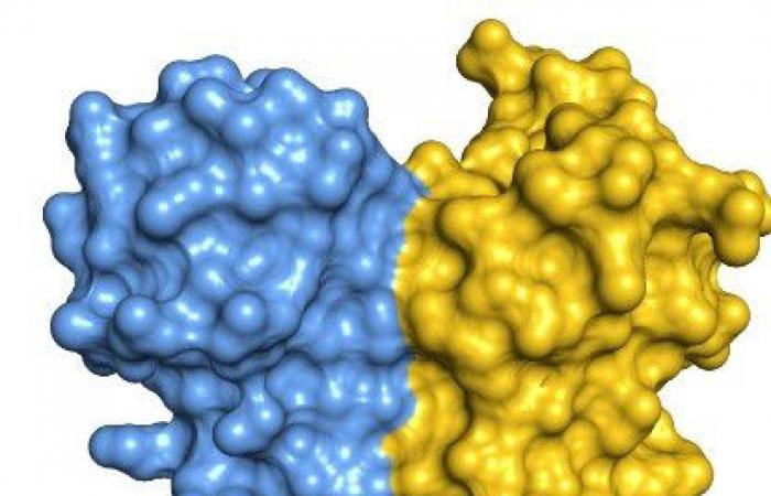 ADAR1, an enzyme whose pairwise association influences RNA editing