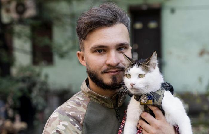 In Ukraine, cats and dogs are faithful companions in arms