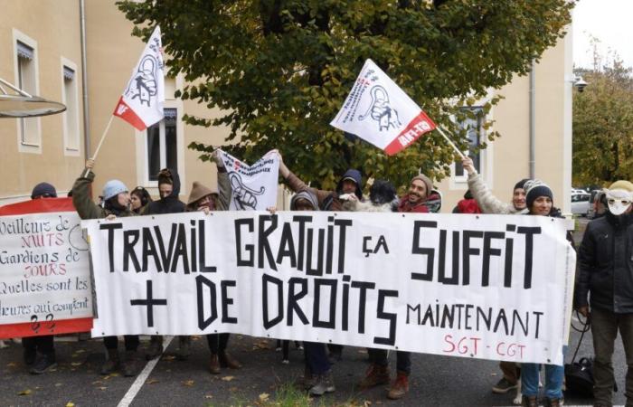 In the Alpes-de-Haute-Provence, shepherds say they are “forgotten” by agricultural mobilization