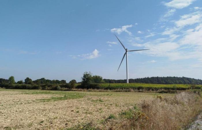 to increase acceptance of wind turbines, an energy supplier offers a reduction to neighbors