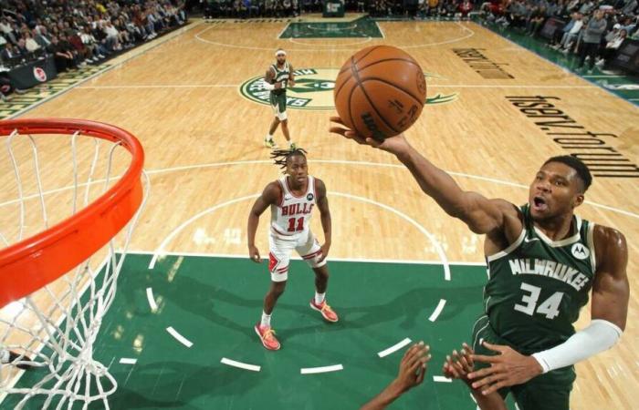 NBA. Antetokounmpo royal against the Bulls, the Knicks continue… The summary of the night of November 20