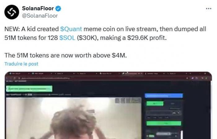 This teenager creates the QUANT memecoin on Solana, pockets $30,000, but loses $2 million