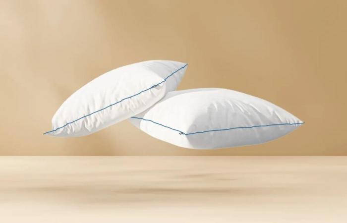 this set of 2 pillows is at a knockdown price right now, it won't last