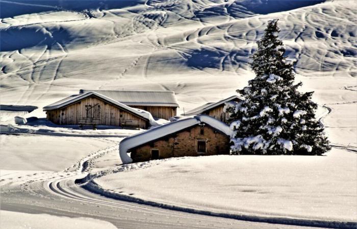 For this winter, head to France and its mountains