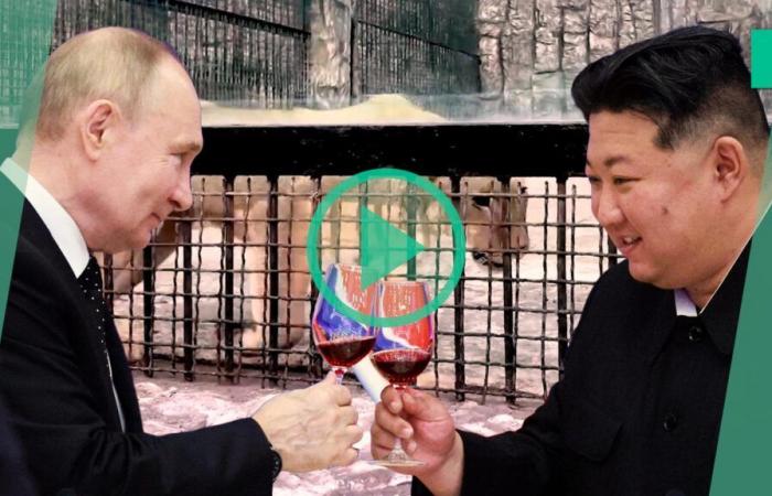 Russia offers North Korea animals to staff Pyongyang zoo