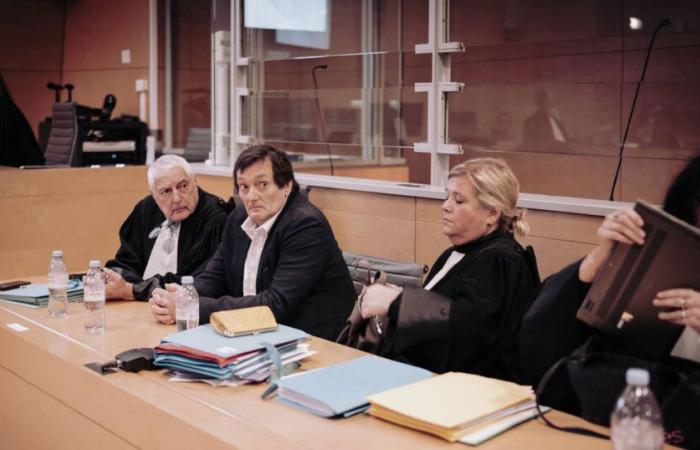 Pierre Palmade sentenced, complaints filed against Kamel Daoud and his wife, stagnation of discussions at COP29… The news of this Wednesday, November 19 – Libération