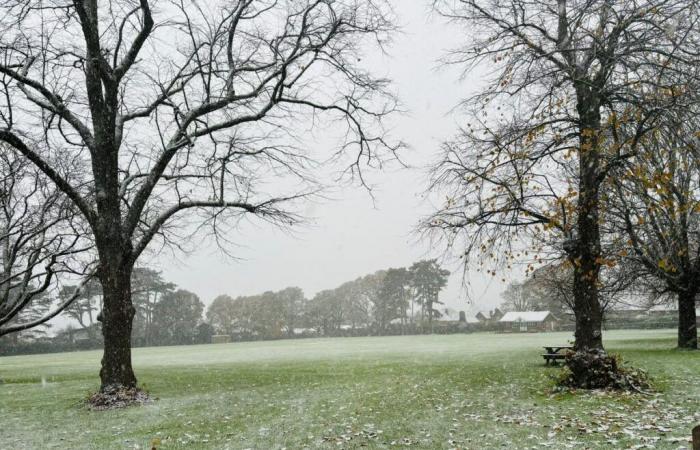 Smattering of snow hits Hampshire as weather warning is issued