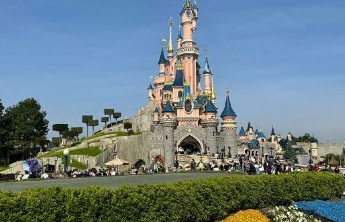 Disneyland Paris: what impact for the dynamic pricing implemented by the amusement park?