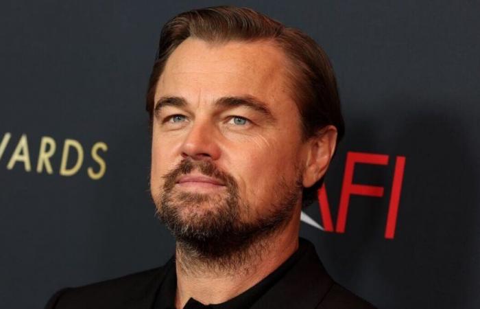 “It’s really a…”, Leonardo DiCaprio very frank after their meeting