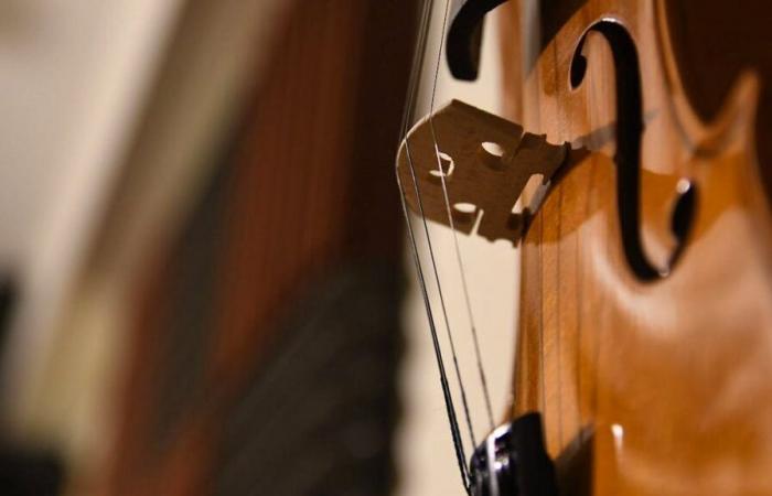 Stolen 1.3 million euro cello found