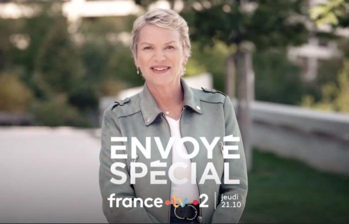 Special Envoy of November 21: summary and reports this evening on France 2