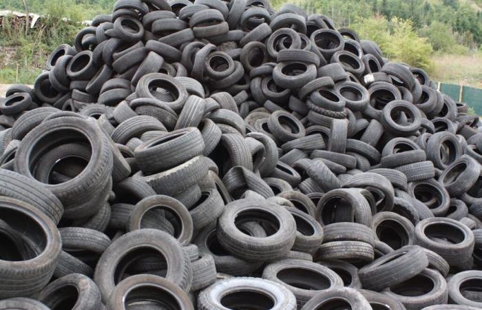 24 tonnes of used tires destined for Senegal seized