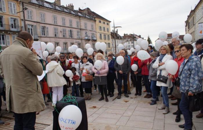 Fight against violence against women: what program in Lons-le-Saunier?